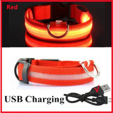 3 Modes Dog Luminous Charge Collar Led Usb Pet Collar Detachable Night Led Glow Dog Loss Prevention Collar Pet Accessories - Outdoor Pros Shop