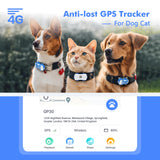 ‌4G Dog Cat GPS Tracker for Pets - Waterproof Smart Locator with App, Live Tracking & Light/Sound Search, Free Trial Included - Outdoor Pros Shop