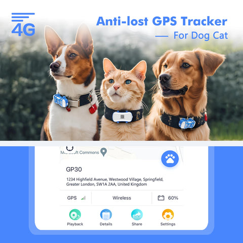 ‌4G Dog Cat GPS Tracker for Pets - Waterproof Smart Locator with App, Live Tracking & Light/Sound Search, Free Trial Included - Outdoor Pros Shop