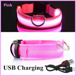 3 Modes Dog Luminous Charge Collar Led Usb Pet Collar Detachable Night Led Glow Dog Loss Prevention Collar Pet Accessories - Outdoor Pros Shop