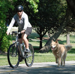 Bicycle Walking Dog Leash, Dog Leash, Removable Elastic Dog Bicycle Leash, Metal Leash, Cycling Liugo - Outdoor Pros Shop