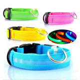 3 Modes Dog Luminous Charge Collar Led Usb Pet Collar Detachable Night Led Glow Dog Loss Prevention Collar Pet Accessories - Outdoor Pros Shop