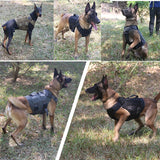 Tactical Military Vest Pet German Shepherd Golden Retriever Tactical  Training Dog Harness and Leash Set For All Breeds Dogs - Outdoor Pros Shop