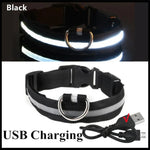 3 Modes Dog Luminous Charge Collar Led Usb Pet Collar Detachable Night Led Glow Dog Loss Prevention Collar Pet Accessories - Outdoor Pros Shop