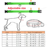 3 Modes Dog Luminous Charge Collar Led Usb Pet Collar Detachable Night Led Glow Dog Loss Prevention Collar Pet Accessories - Outdoor Pros Shop