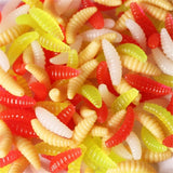 Maggot worms for fishing. 50 pieces